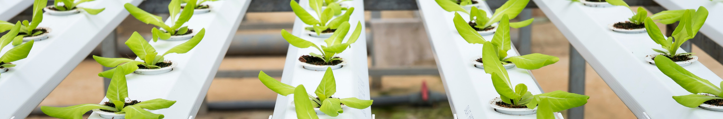 Artificial Intelligence In Farming